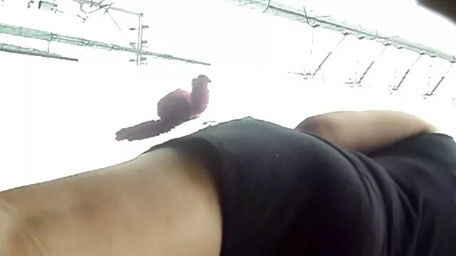 Hausgemachte handjob von griechischen milf, Last Stöhnen pornos reife damen am Ende ~DirtyFamily~